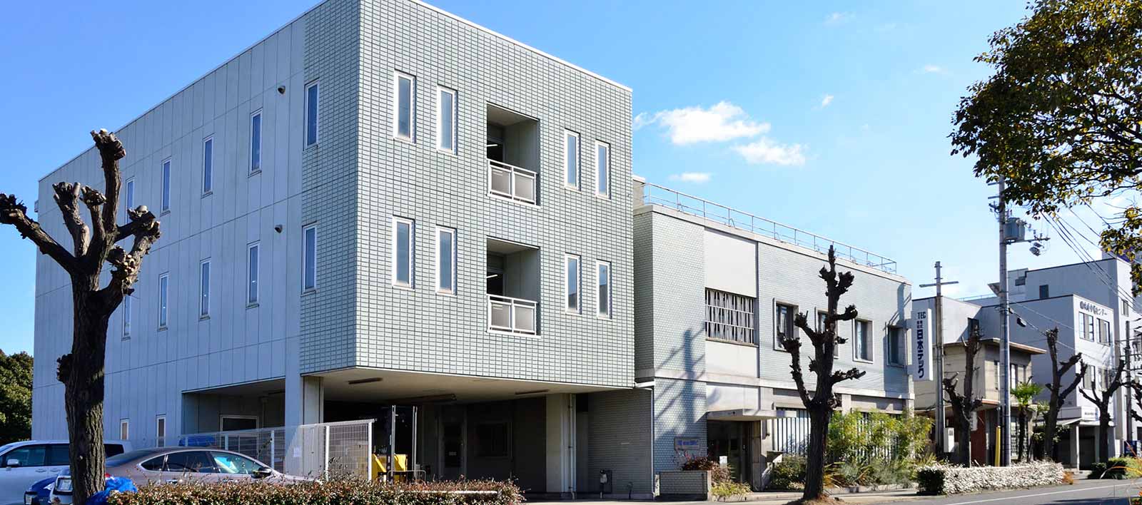 Head Office